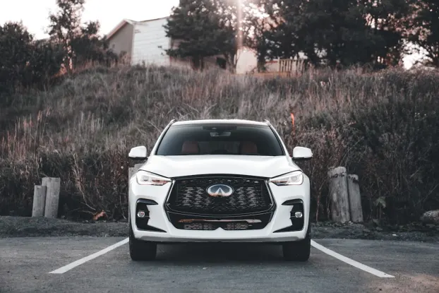 Wildz Casino App Android/iOS